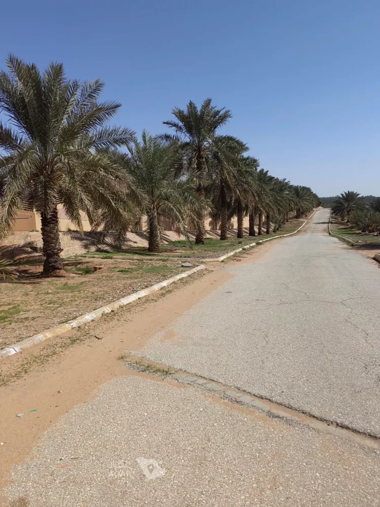 مزرعة للبيع في شارع المنفلوطي, حي الضاحي الشرقي, مدينة بريدة, منطقة القصيم صورة 2