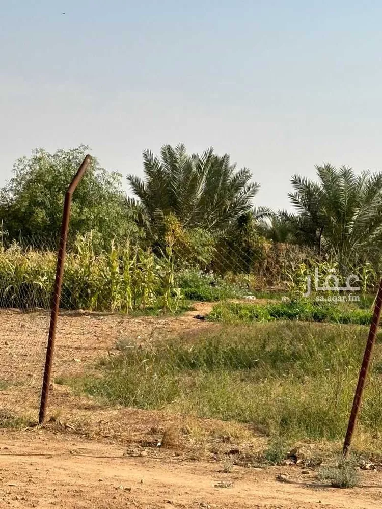 Farm for Sale in Al Muzahimiyah Al GhatGhat صورة 4