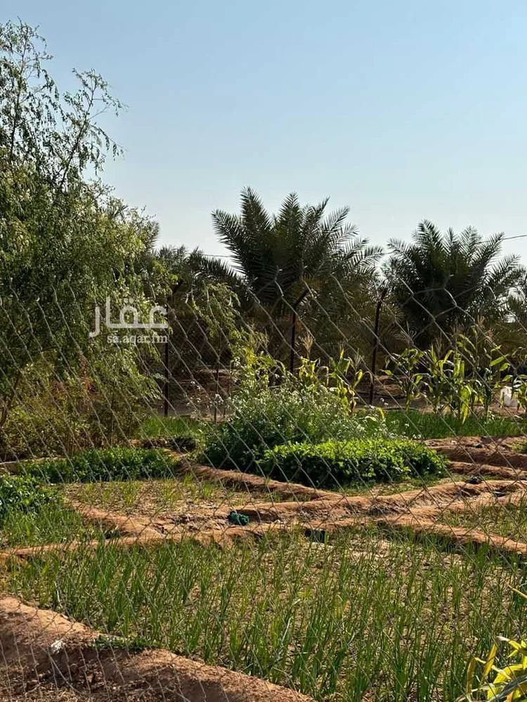 Farm for Sale in Al Muzahimiyah Al GhatGhat
