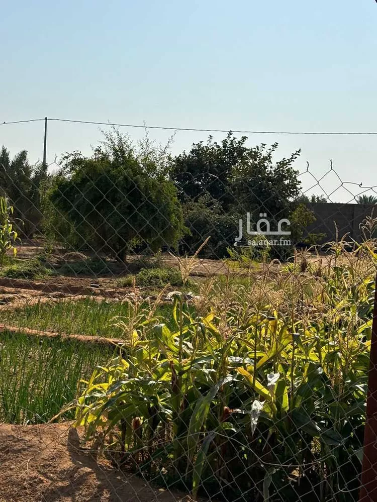 Farm for Sale in Al Muzahimiyah Al GhatGhat صورة 2