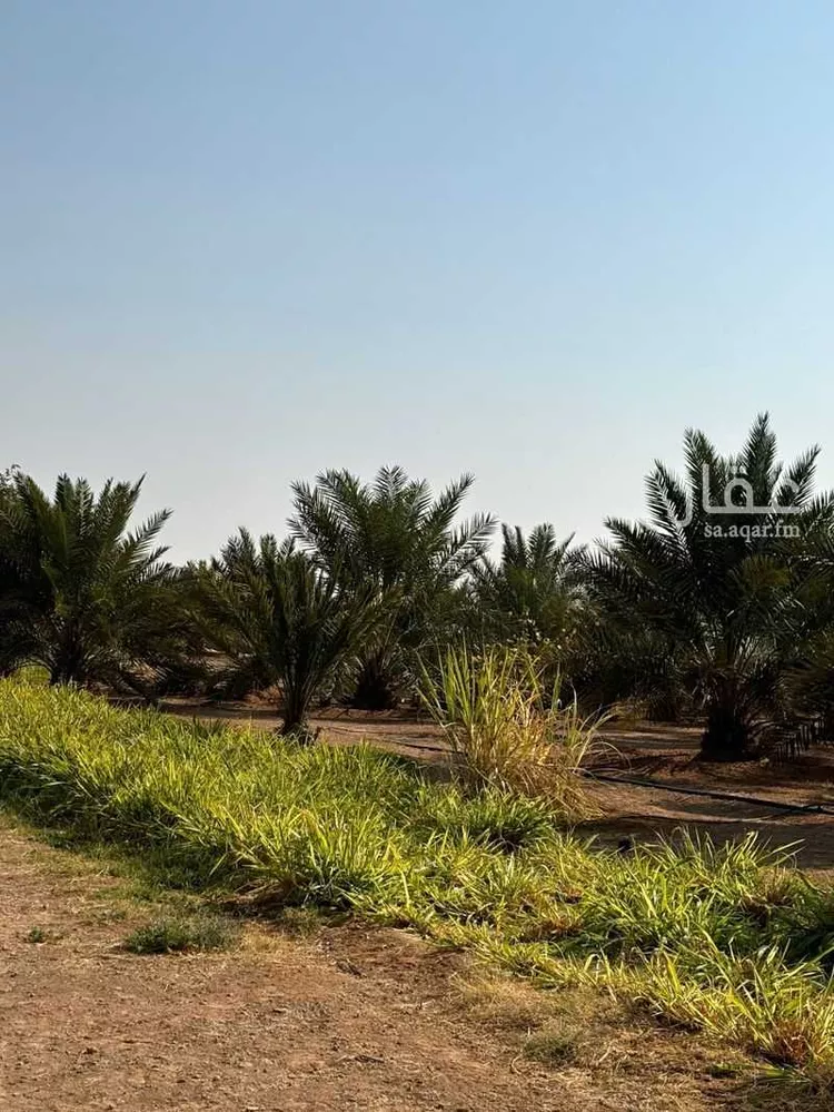 Farm for Sale in Al Muzahimiyah Al GhatGhat صورة 3