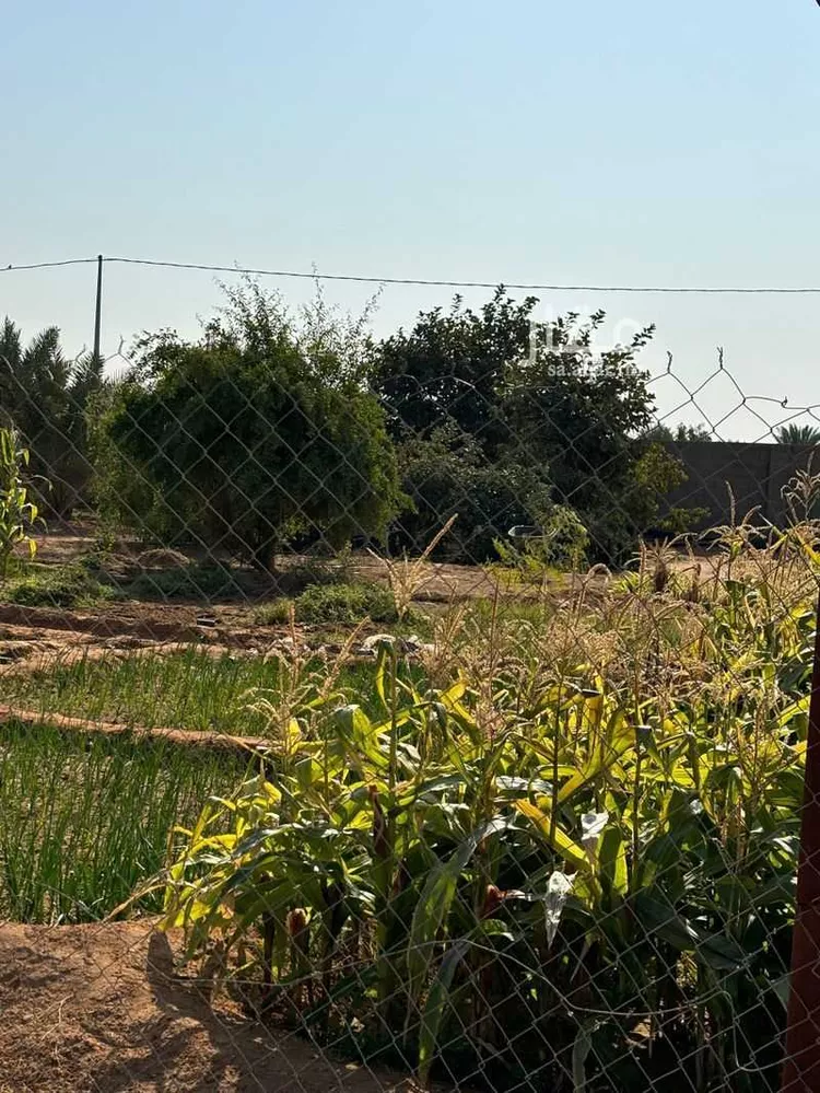 مزرعة للبيع في شارع رافع ابن مالك ، الجديدة ، القويعية صورة 2