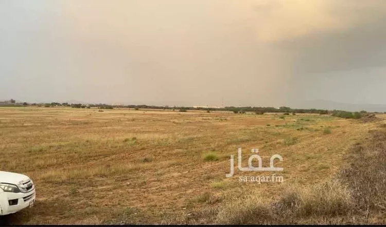 مزرعة للبيع في حي القدس, مدينة أبو عريش - أبو عريش, منطقة جازان صورة 2