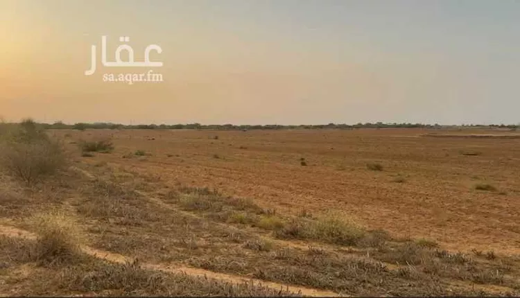 مزرعة للبيع في حي القدس, مدينة أبو عريش - أبو عريش, منطقة جازان صورة 3