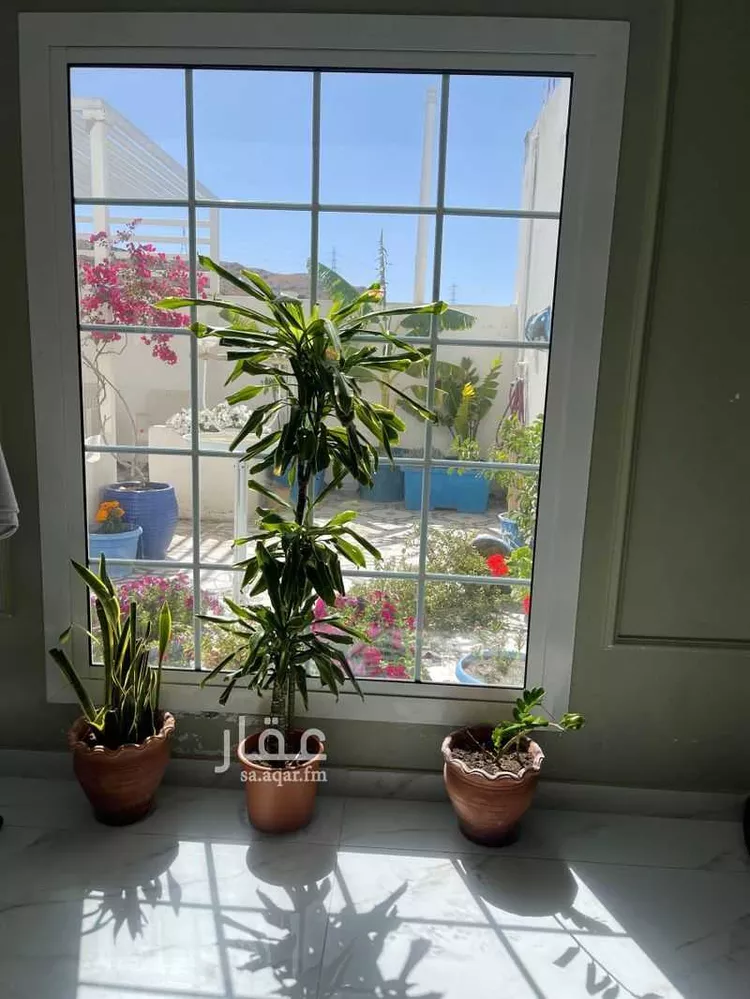 شقة للإيجار في شارع أم الرصف 5 ، حي الاخباب ، الطائف ، الطائف صورة 2