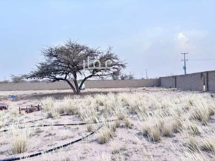 أرض للبيع في مدينة الطائف, منطقة مكة المكرمة صورة 3