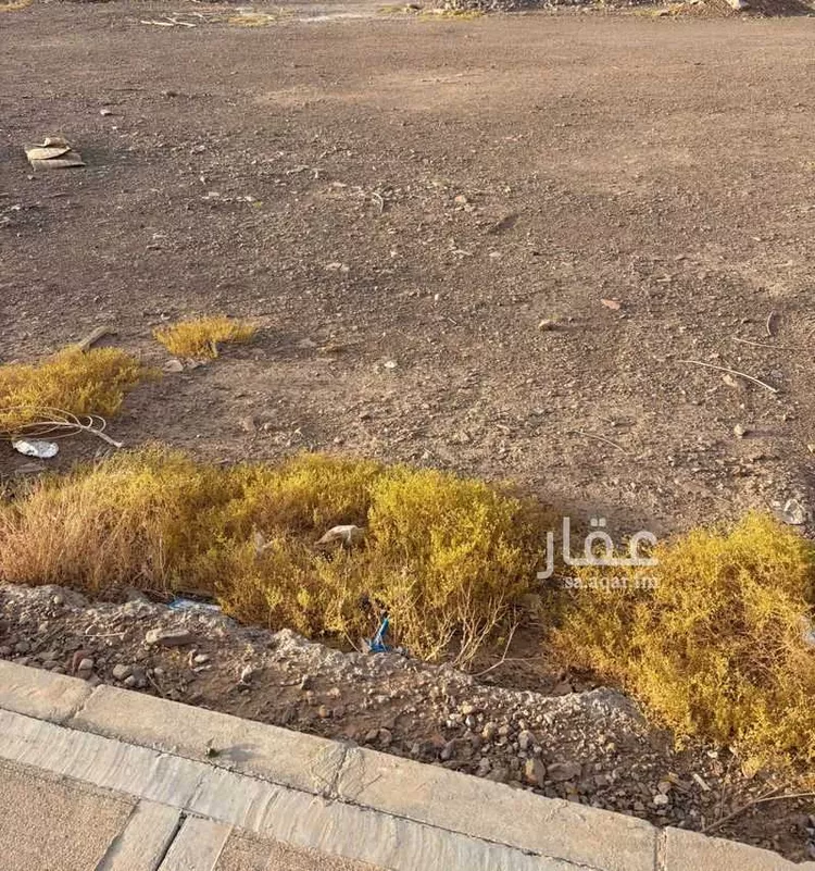 أرض للبيع في شارع زيد بن المزين, حي الزهرة, مدينة المدينة المنورة, منطقة المدينة المنورة