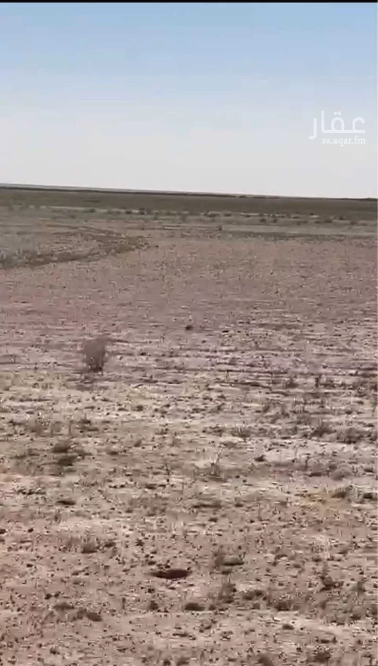مزرعة للبيع في الدولية ، الدوادمي صورة 4