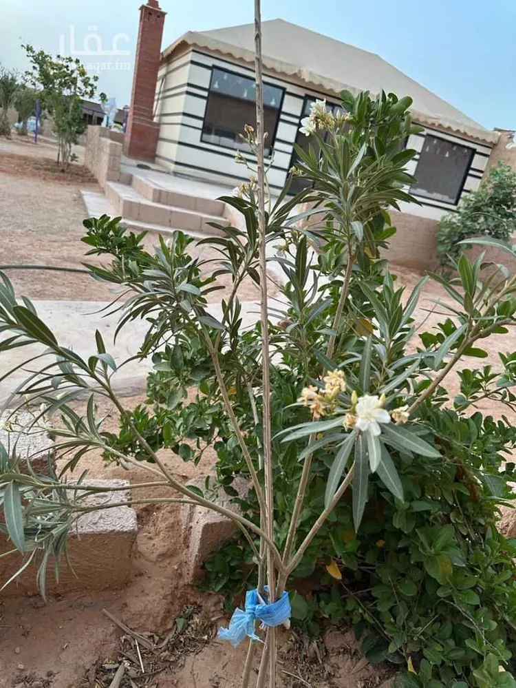 أرض للبيع في شارع طريق الدمام, حي العلا, مدينة الرياض, منطقة الرياض 20