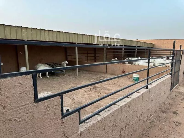 أرض للبيع في شارع طريق الدمام, حي العلا, مدينة الرياض, منطقة الرياض صورة 3