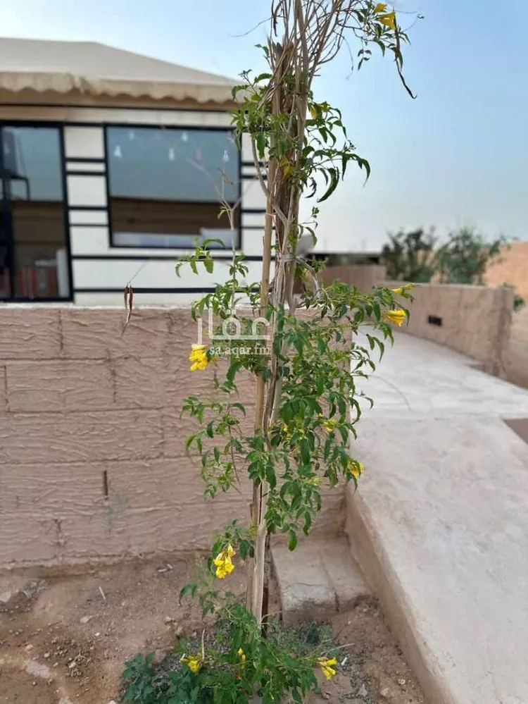أرض للبيع في شارع طريق الدمام, حي العلا, مدينة الرياض, منطقة الرياض صورة 4