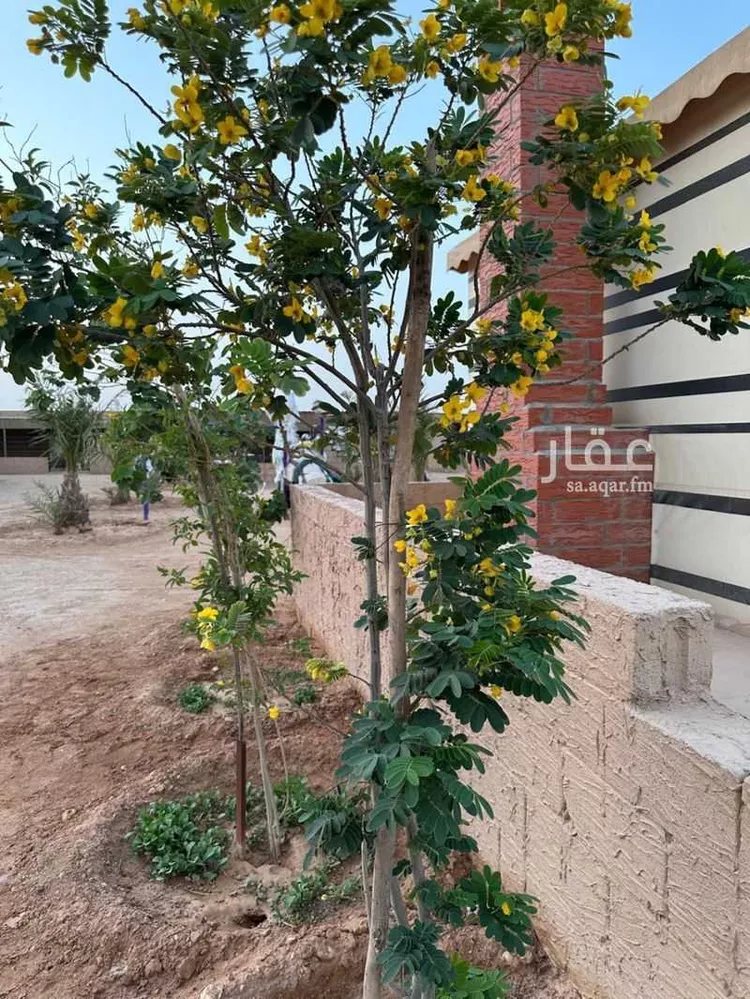 أرض للبيع في شارع طريق الدمام, حي العلا, مدينة الرياض, منطقة الرياض 19