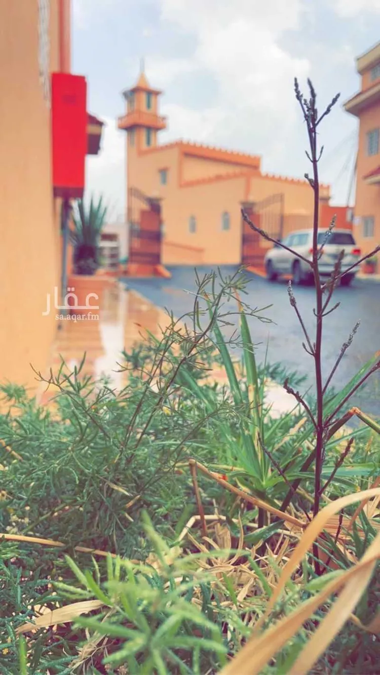 عمارة للإيجار في شارع الصليحى 212, مدينة ال بالعلاء, منطقة عسير صورة 3