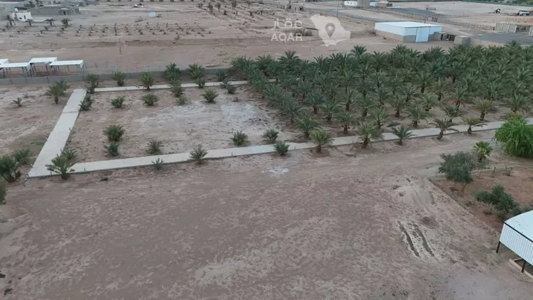 Farm for Sale in Thadiq Ad Deerah Al Kadimah 11