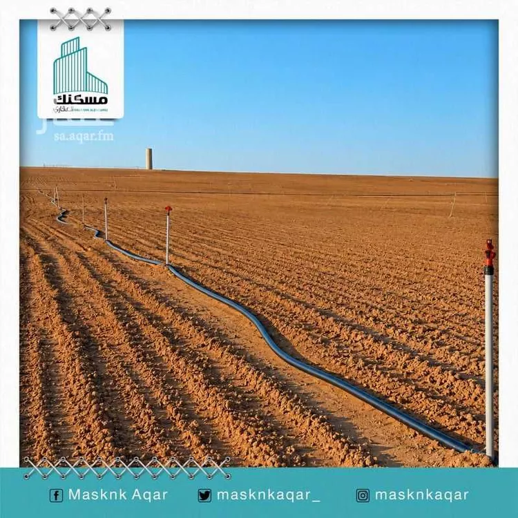 Farm for Sale in Baqaa Al Suhaibi صورة 4