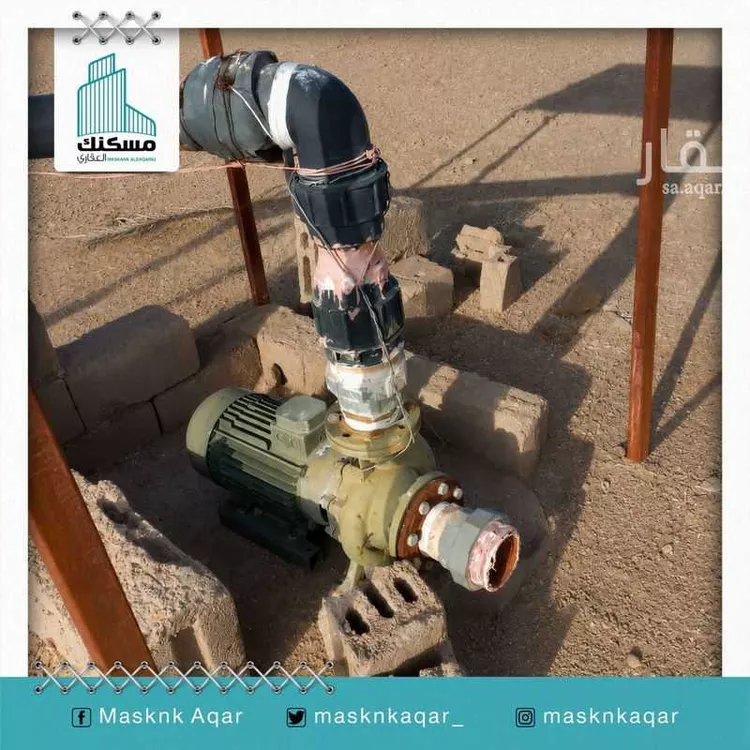 Farm for Sale in Baqaa Al Suhaibi صورة 5