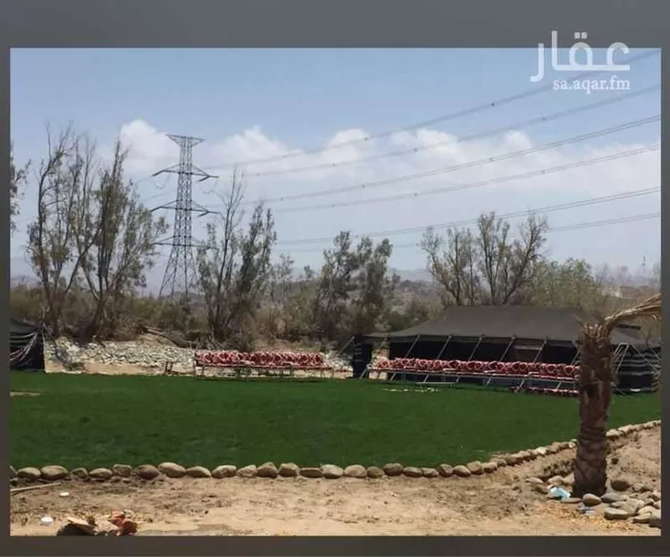 مزرعة للبيع في مدينة مكة المكرمة, منطقة مكة المكرمة صورة 2