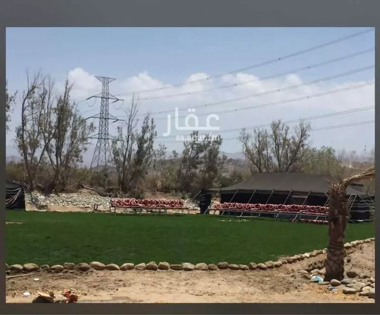 مزرعة للبيع في مدينة مكة المكرمة, منطقة مكة المكرمة صورة 3