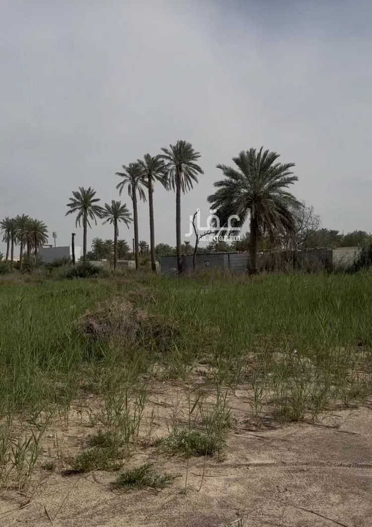 Farm for Sale in Saihat At Tif صورة 4