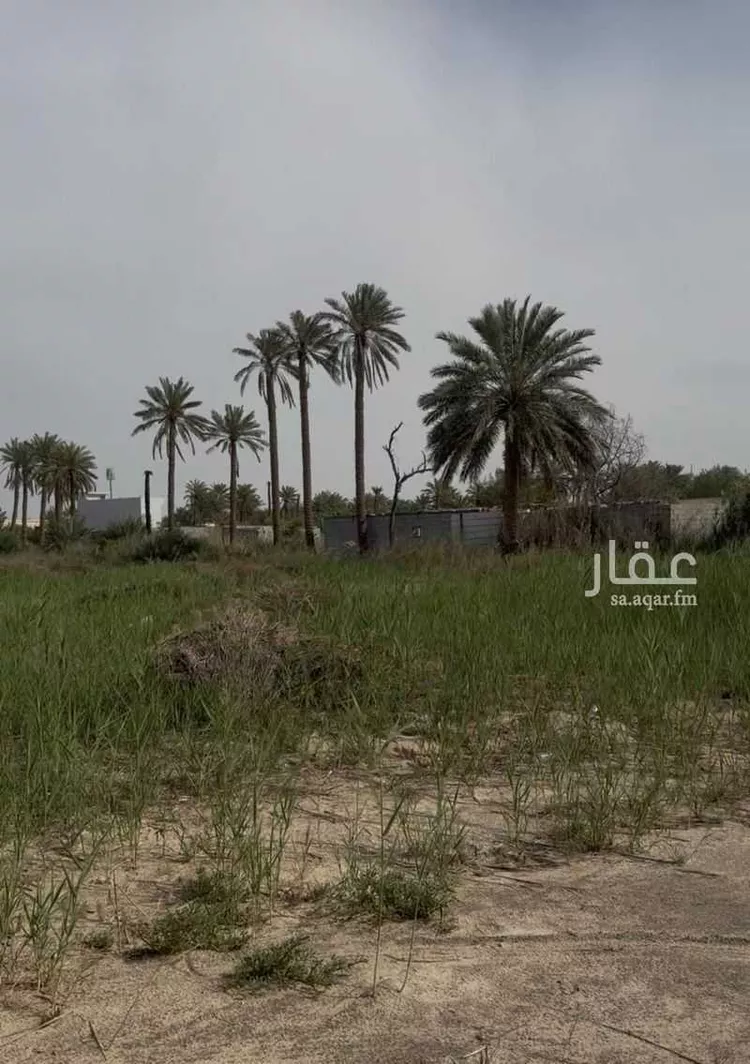 Farm for Sale in Saihat At Tif