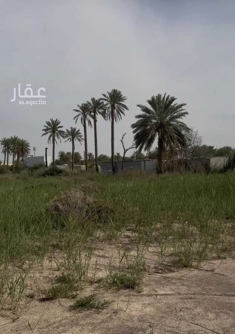 Farm for Sale in Saihat At Tif صورة 3