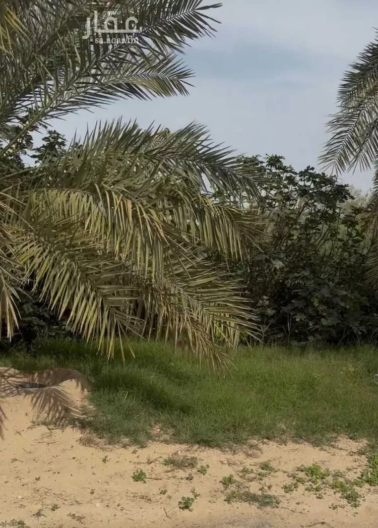 Farm for Sale in Saihat At Tif 6