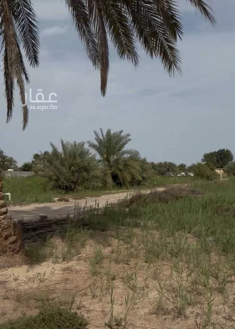 Farm for Sale in Saihat At Tif صورة 5