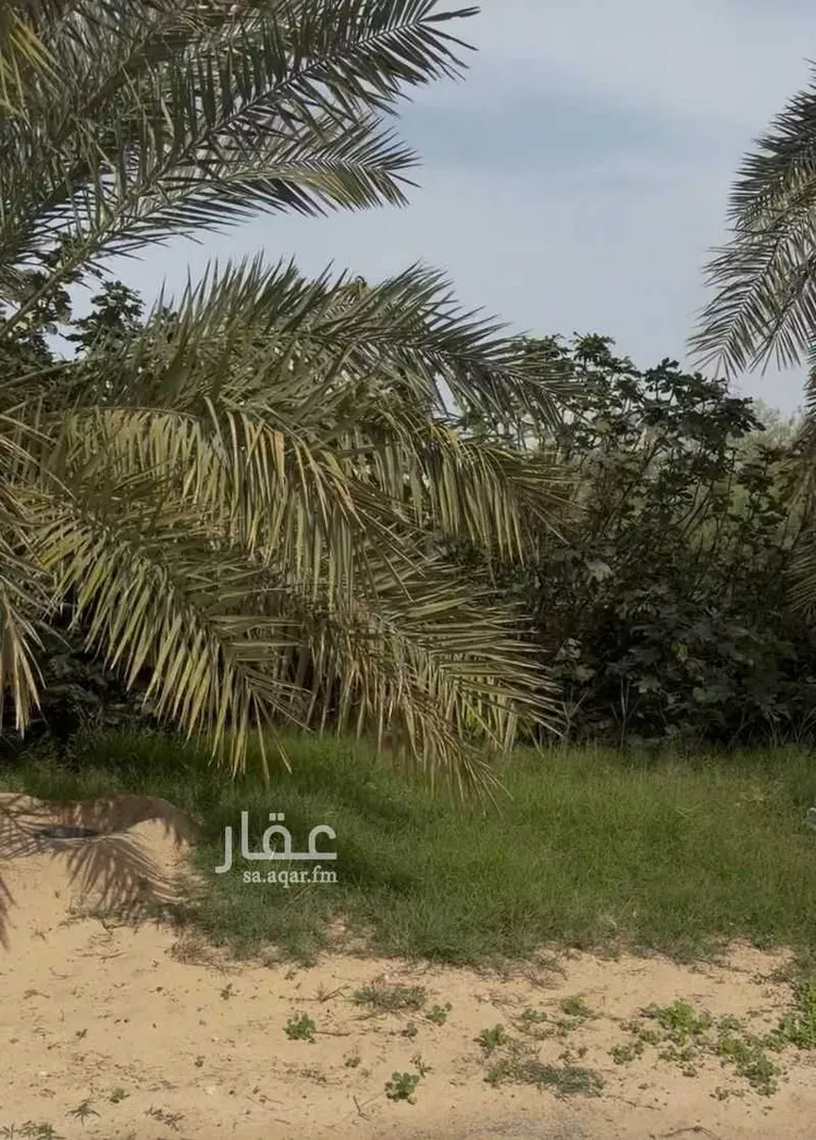 Farm for Sale in Saihat At Tif صورة 2