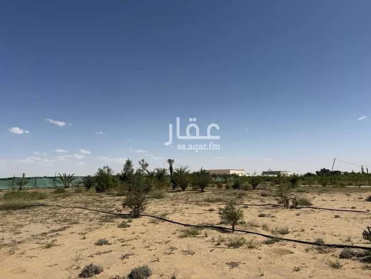 أرض للإيجار في المملكة العربية السعودية