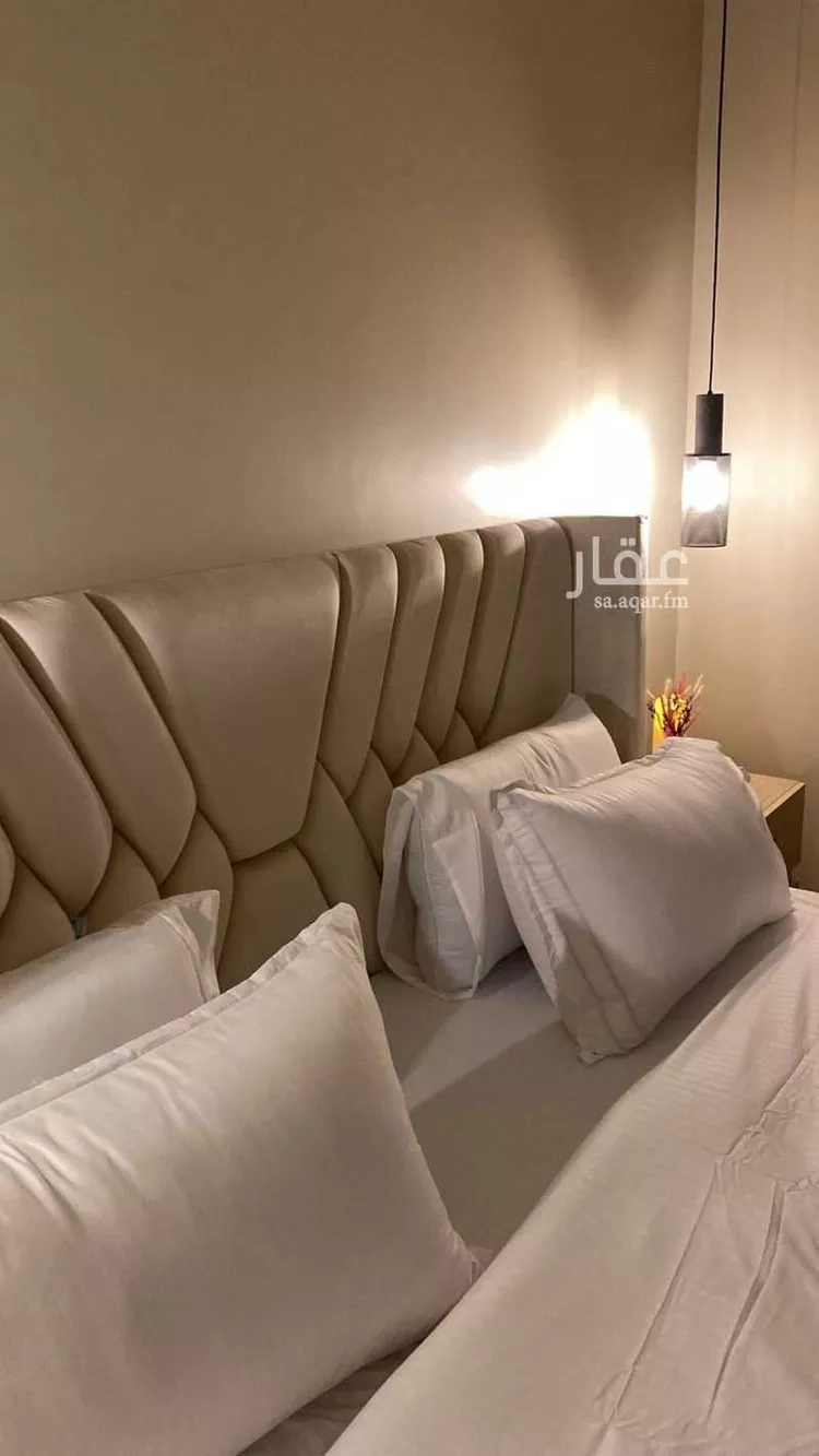 شقة للإيجار في شارع طوير ، حي العقيق ، الرياض ، منطقة الرياض صورة 4