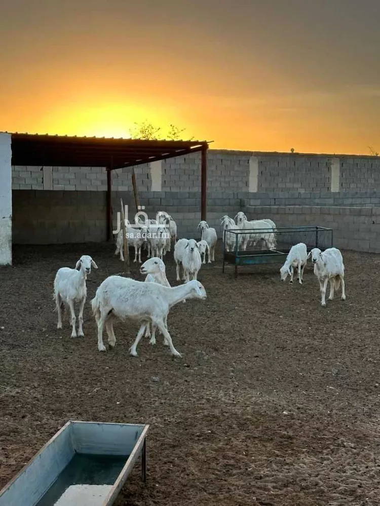 أرض للبيع في شارع طريق القصيم الجبيل, مدينة المجمعة, منطقة الرياض صورة 3