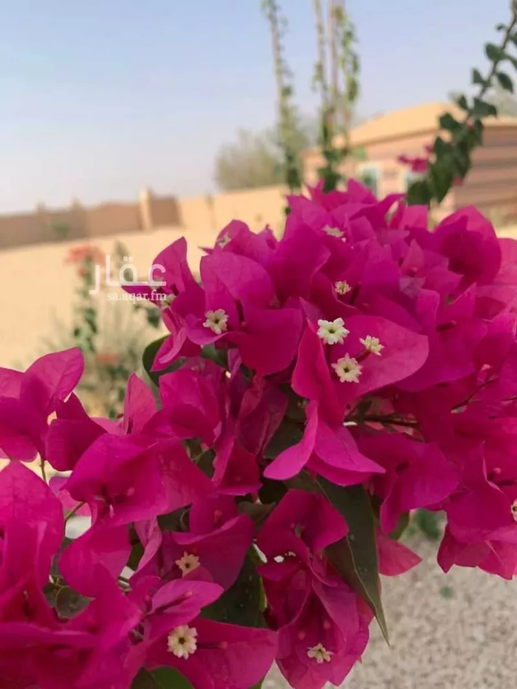 مزرعة للبيع في طريق القصيم الجبيل ، حرمة ، المجمعة صورة 5