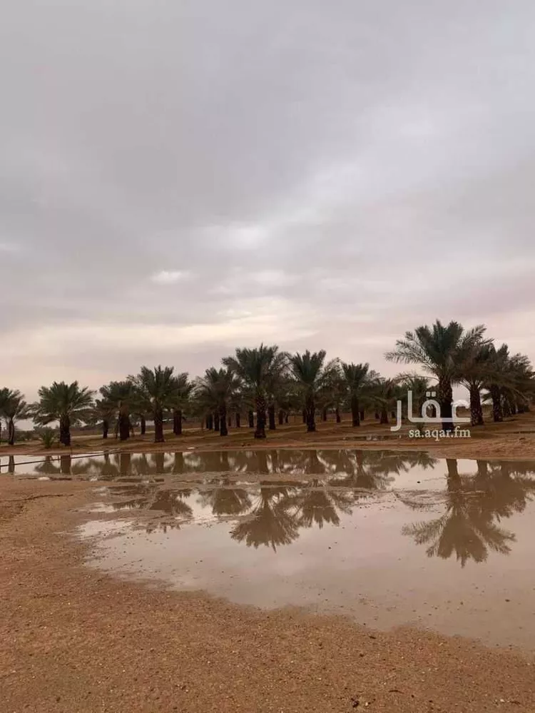 أرض للبيع في شارع طريق القصيم الجبيل, مدينة المجمعة, منطقة الرياض صورة 4