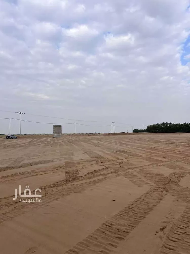 مزرعة للبيع في شارع الاحنف ابن قيس ، العمودية ، القنفذة صورة 3