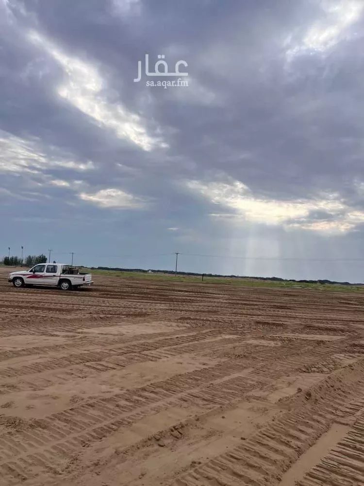 مزرعة للبيع في القنفذة