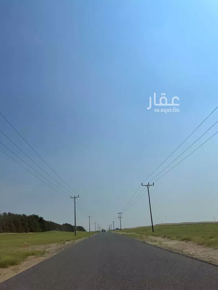 مزرعة للبيع في شارع الاحنف ابن قيس ، العمودية ، القنفذة صورة 5