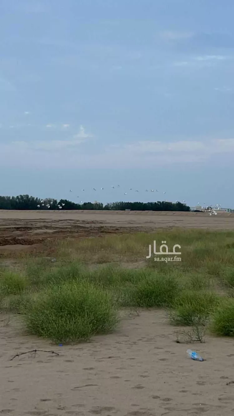 مزرعة للبيع في شارع الاحنف ابن قيس ، العمودية ، القنفذة