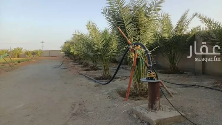 Rest House for Rent in Al Muzahimiyah Al GhatGhat صورة 3