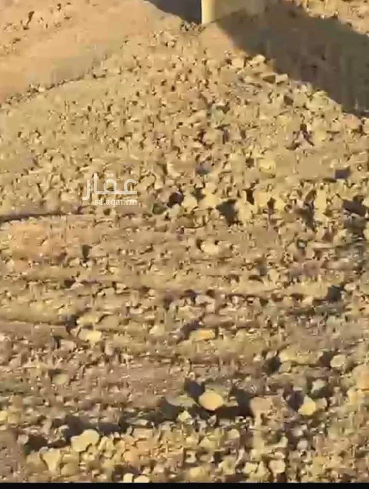 أرض للبيع في الرياض ، منطقة الرياض صورة 2