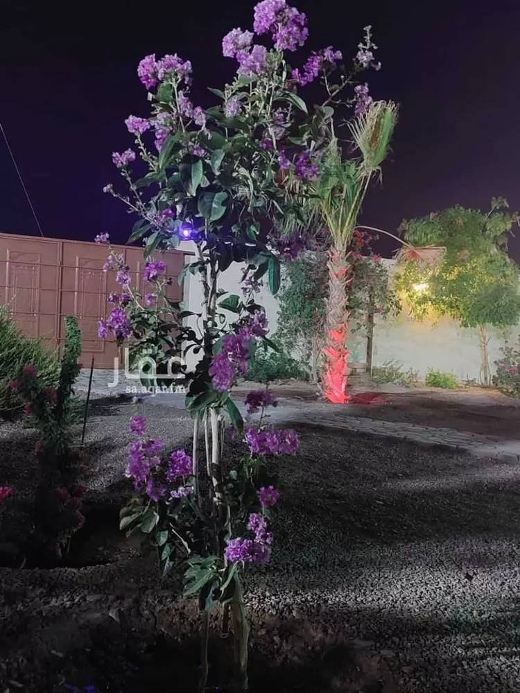 Rest House for Rent in Medina As Sakb صورة 4