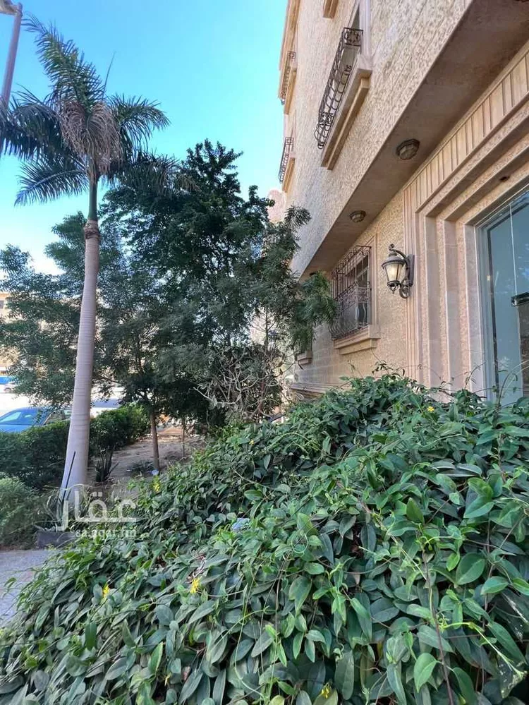 شقة للإيجار في حي الحمراء ، جدة ، جدة