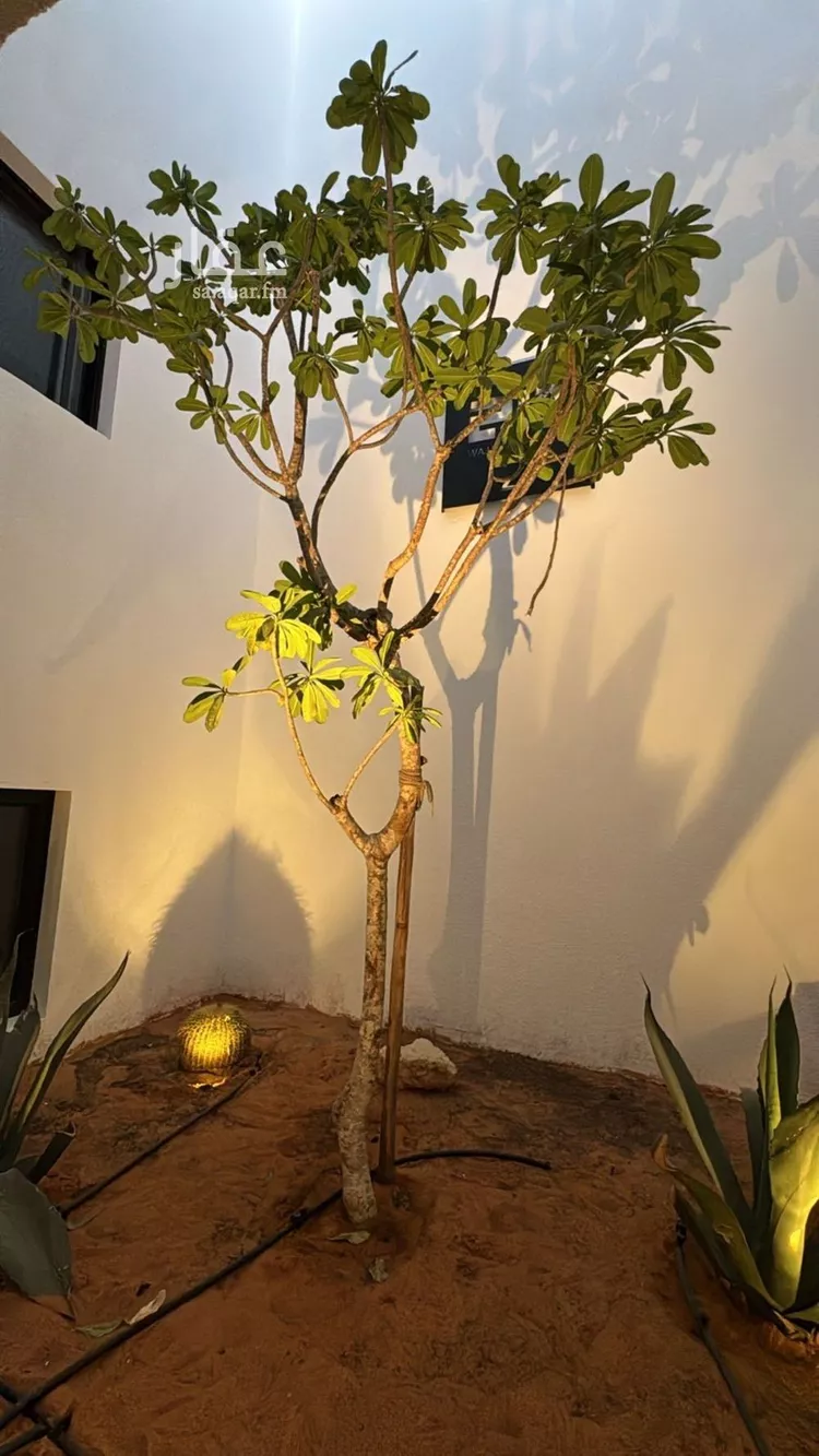 شقة للإيجار في شارع الامير فيصل بن عبدالله بن عبدالرحمن, حي حطين, مدينة الرياض, منطقة الرياض صورة 5