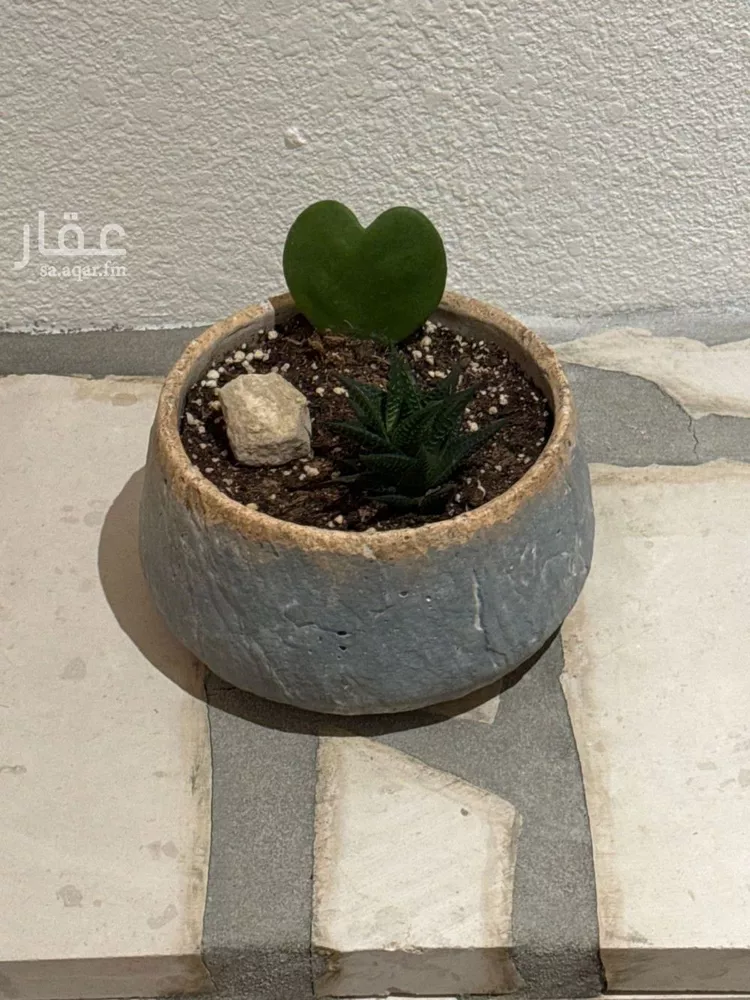 شقة للإيجار في شارع الحماسة, حي الملقا, مدينة الرياض, منطقة الرياض صورة 4