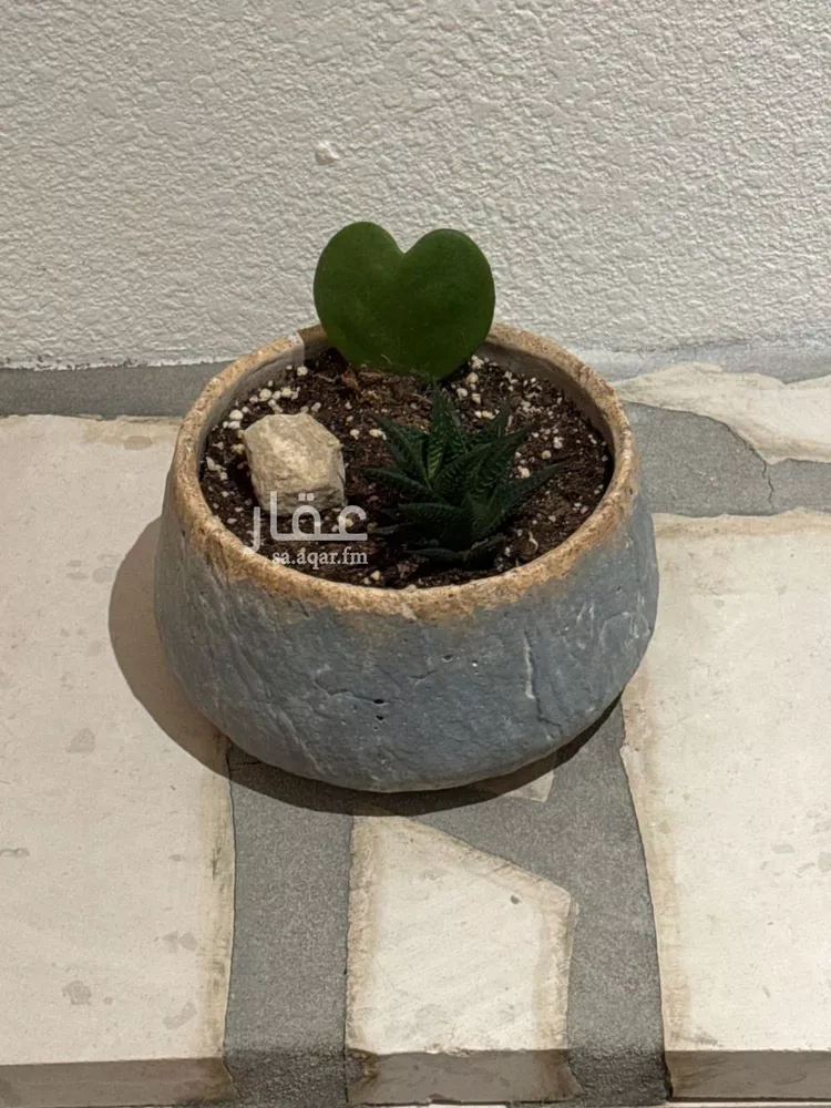 شقة للإيجار في شارع الحماسة, حي الملقا, مدينة الرياض, منطقة الرياض صورة 4