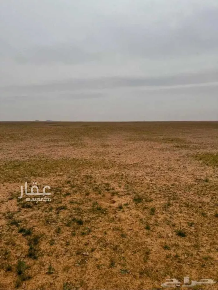 مزرعة للبيع في شارع الملك خالد , حي بقعاء الشرقية القديمة, مدينة بقعاء, منطقة حائل صورة 2