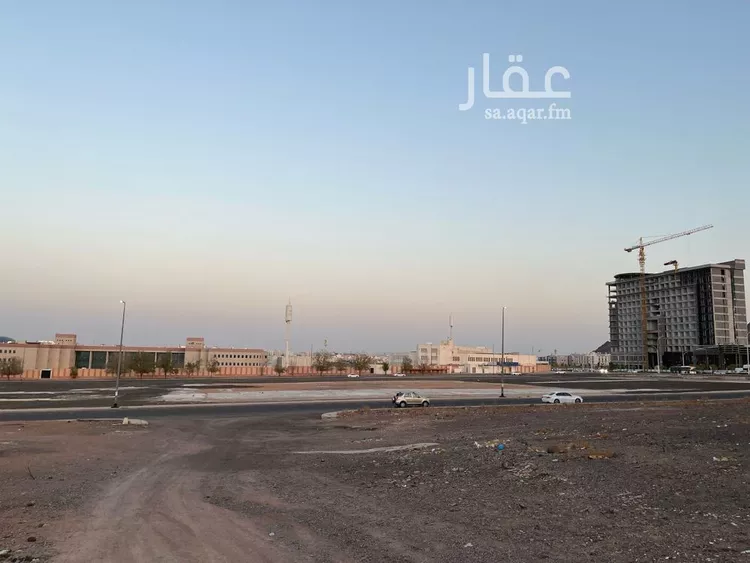 أرض للبيع في شارع ضمام بن ثعلبه, حي الجامعة, مدينة المدينه المنوره, منطقة المدينة المنورة صورة 3