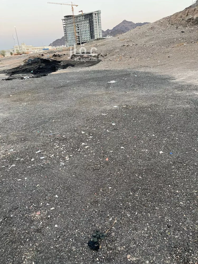 أرض للبيع في شارع ضمام بن ثعلبه, حي الجامعة, مدينة المدينه المنوره, منطقة المدينة المنورة صورة 3
