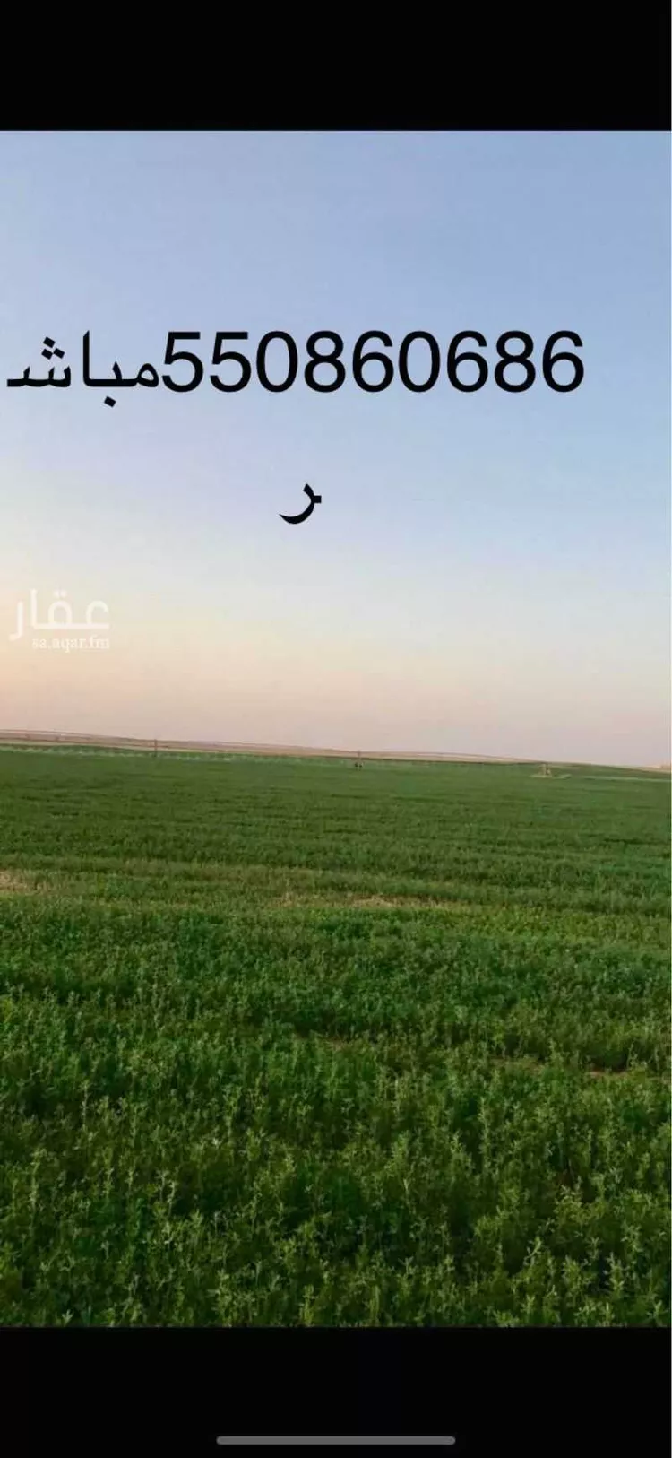 مزرعة للبيع في حي مزارع الوبريات, مدينة مزارع الوبريات, منطقة حائل صورة 4