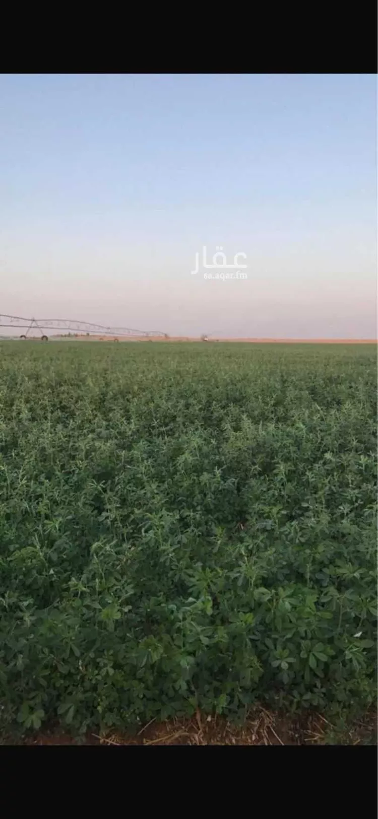 مزرعة للبيع في حي مزارع الوبريات, مدينة مزارع الوبريات, منطقة حائل صورة 2