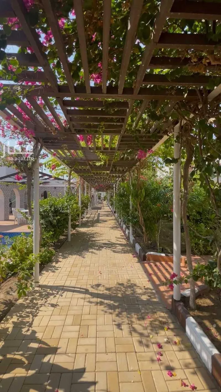 عمارة للإيجار في شارع روضة الخليج, حي الروضة, مدينة جدة, منطقة مكة المكرمة صورة 2